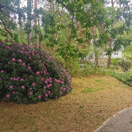 Fahrradpension Am Weg Nach Kopenhagen Fürstenberg-Havel المظهر الخارجي الصورة